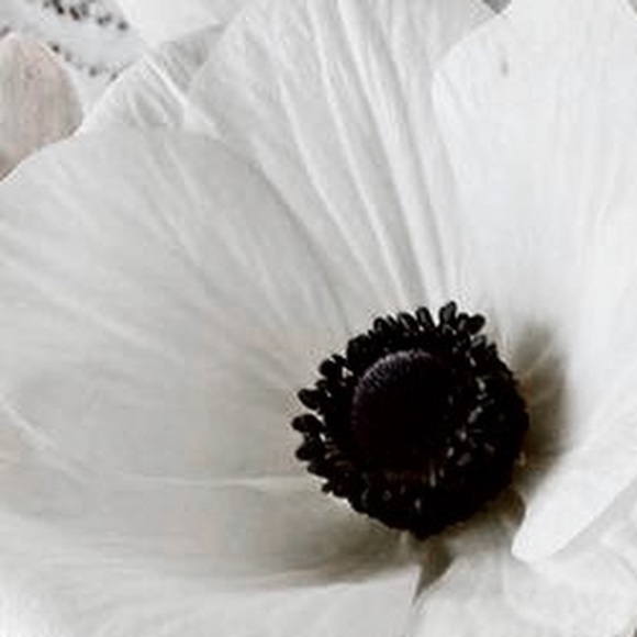 H&M Dresses & Skirts - order for helena777